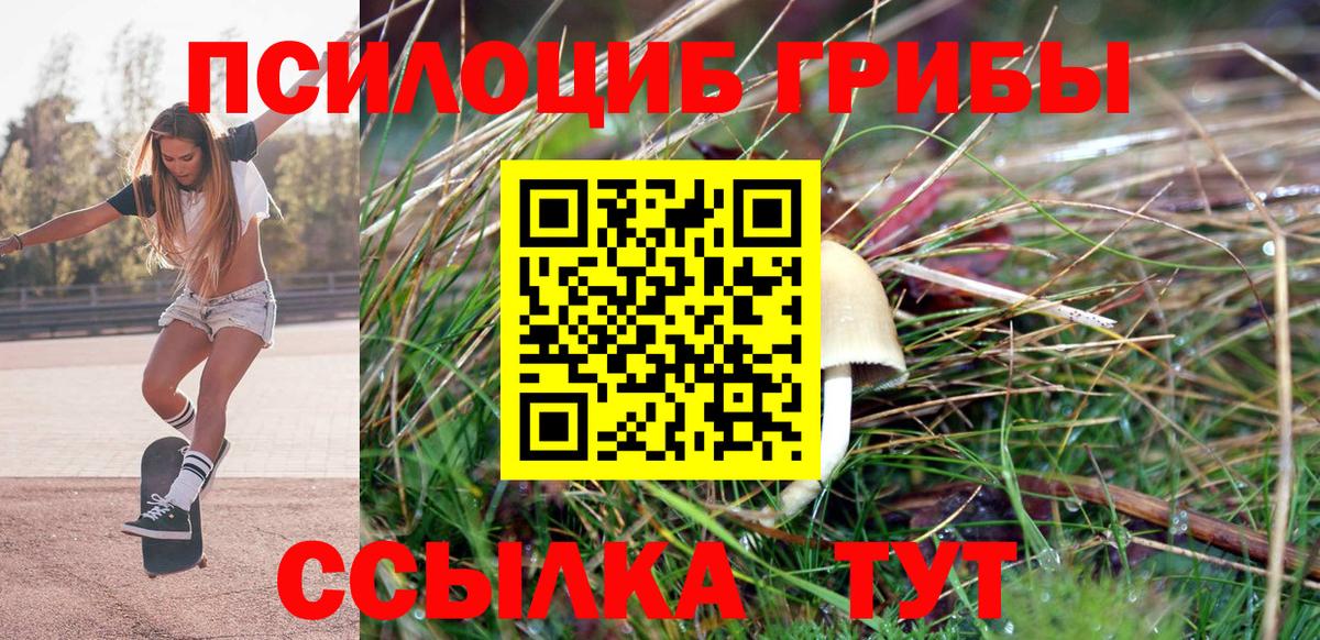 Нерюнгри  Псилоцибиновые грибы Psilocybe  Вход с VPN 